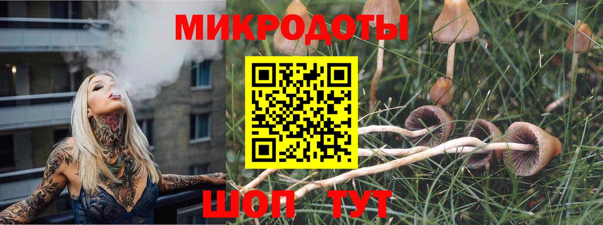 Калуга  Псилоцибиновые грибы MAGIC MUSHROOMS  Вход с VPN 